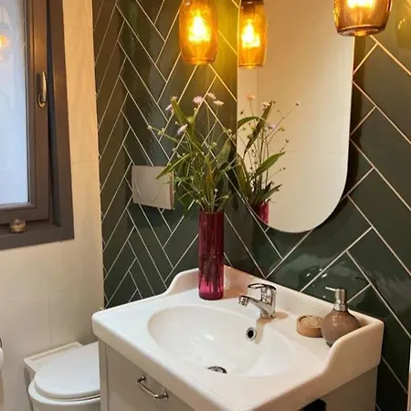 Tuerkbuekue Menegic Evi Apartment *